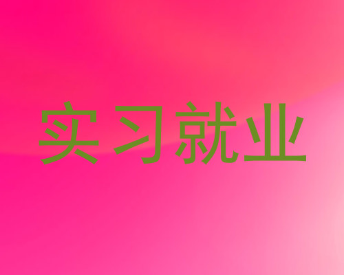 实习就业