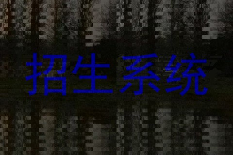招生系统