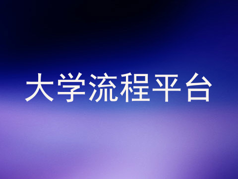 大学流程平台
