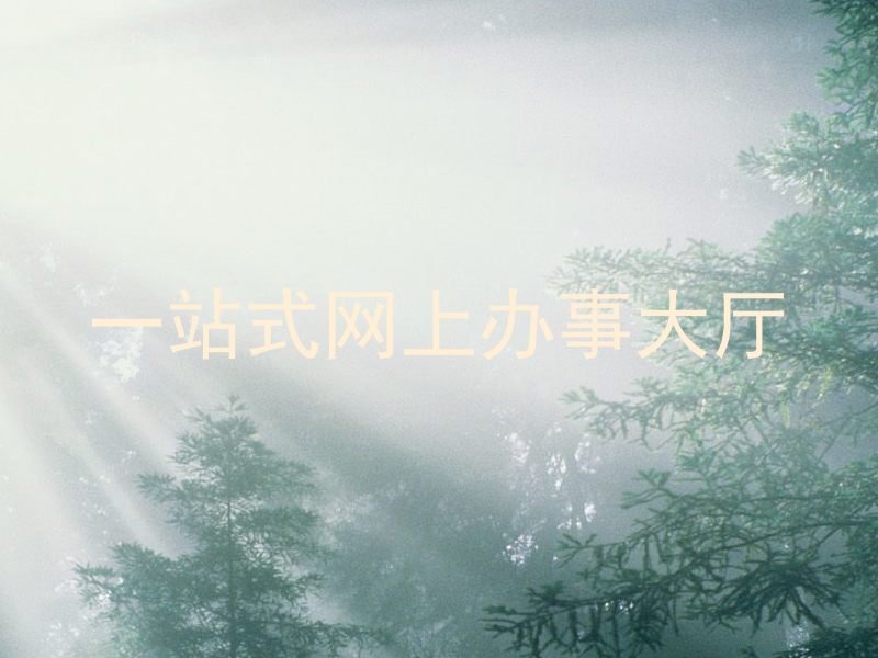 一站式网上办事大厅