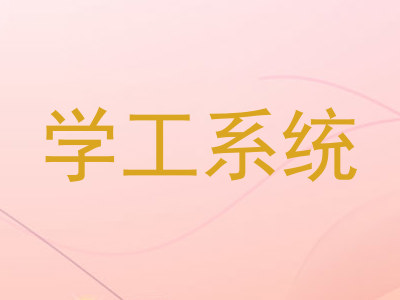 学工系统