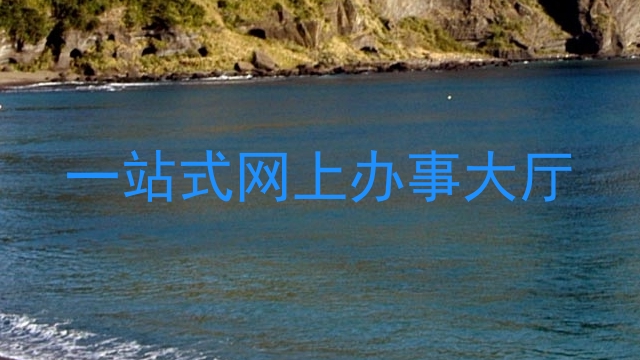 一站式网上办事大厅