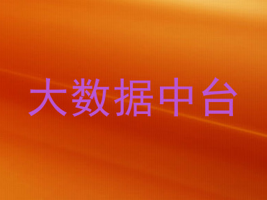 大数据中台