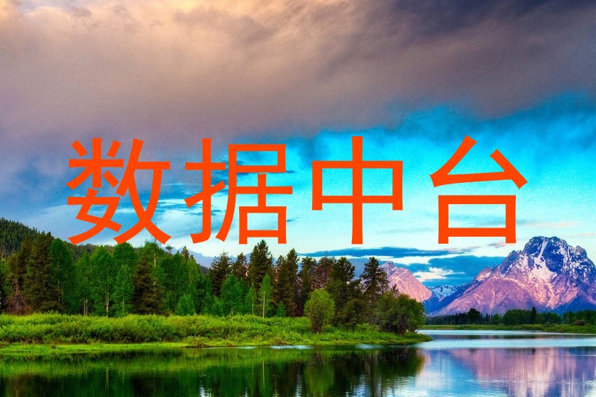 数据中台