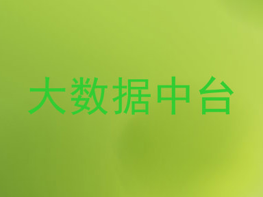 大数据中台