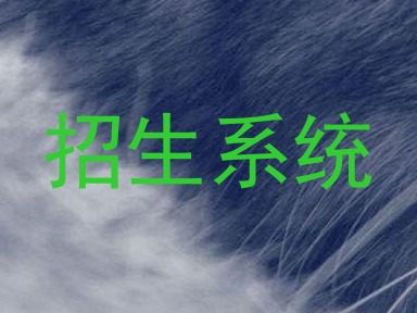 招生系统