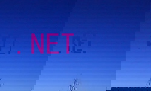 .NET