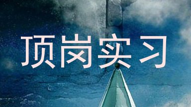 顶岗实习