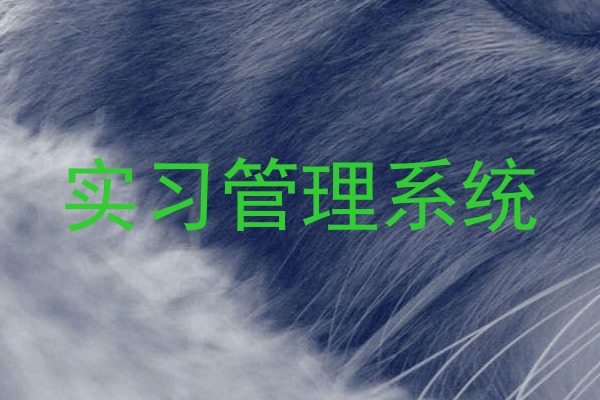 实习管理系统