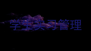学生实习管理