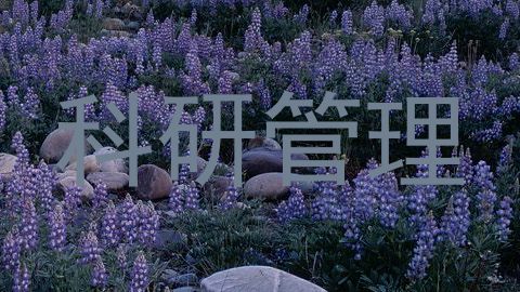 科研管理