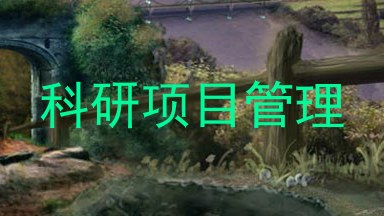 科研项目管理