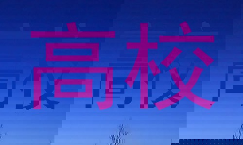 高校