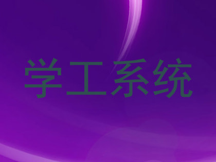学工系统