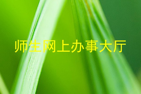 师生网上办事大厅