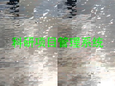 科研项目管理系统