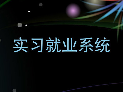 实习就业系统