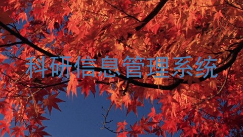科研信息管理系统