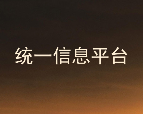 统一信息平台