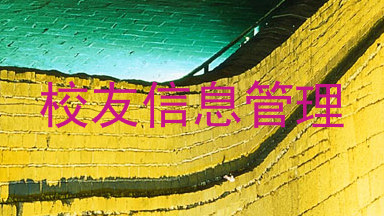校友信息管理