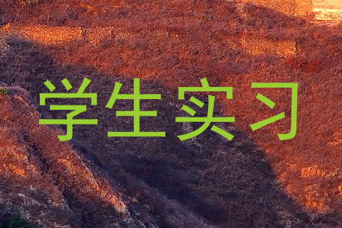 学生实习