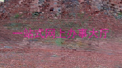 一站式网上办事大厅