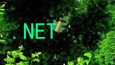 .NET
