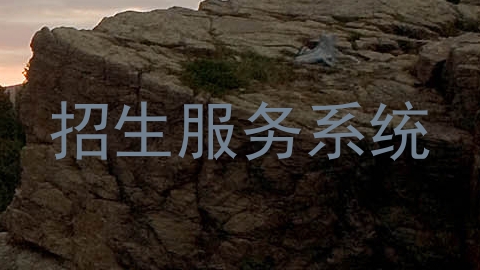 招生服务系统