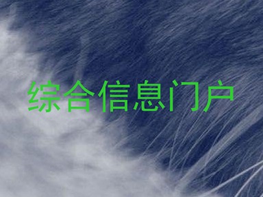 综合信息门户