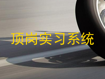 顶岗实习系统