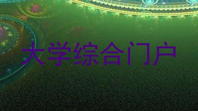 大学综合门户