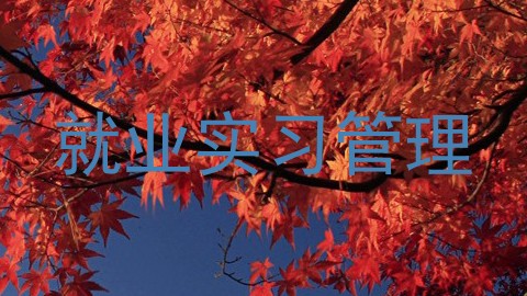 就业实习管理