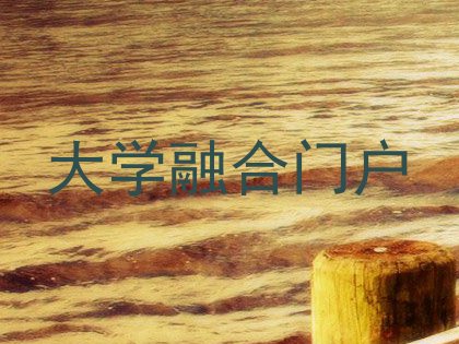 大学融合门户