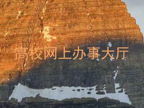 高校网上办事大厅