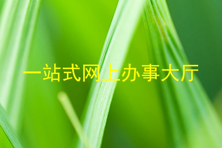 一站式网上办事大厅