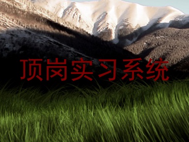 顶岗实习系统