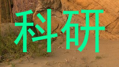 科研
