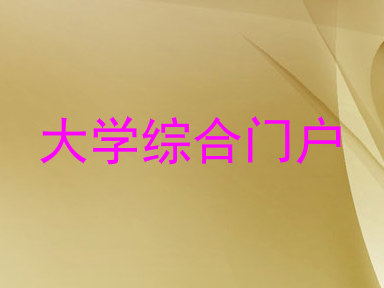大学综合门户