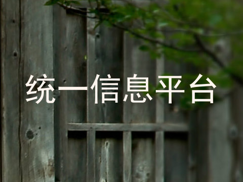 统一信息平台