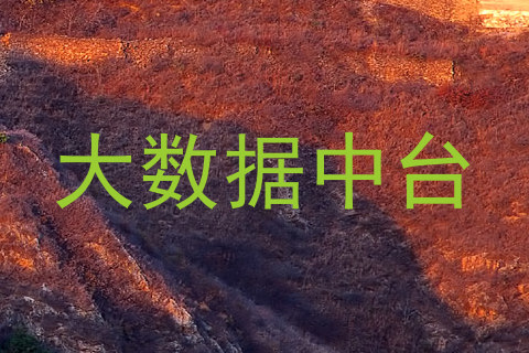 大数据中台