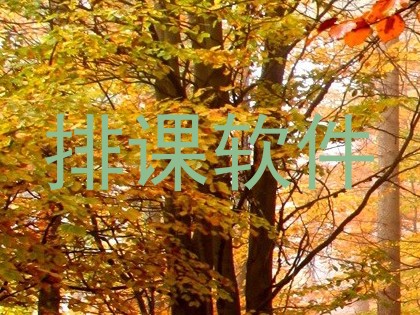 排课软件