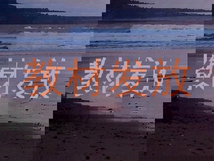 教材发放