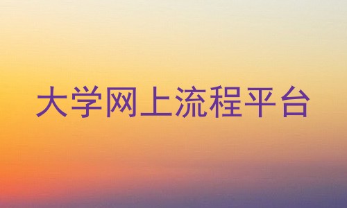 大学网上流程平台