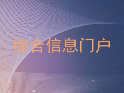 综合信息门户