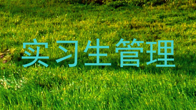 实习生管理
