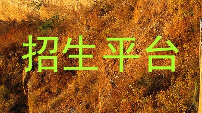 招生平台