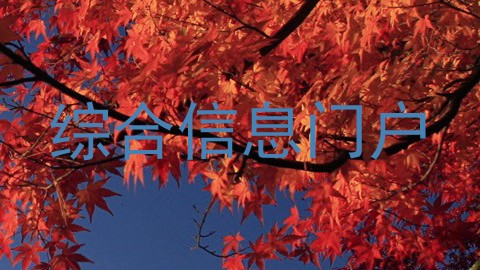 综合信息门户