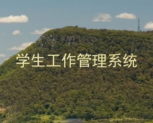 学生工作管理系统