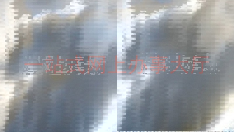 一站式网上办事大厅