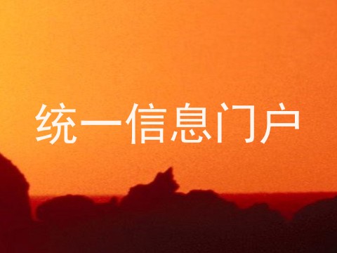 统一信息门户